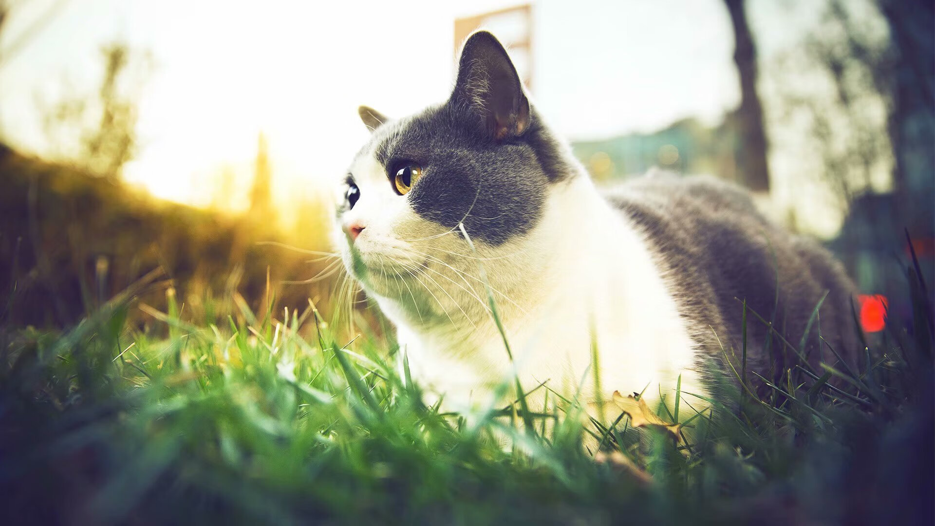 德罗赞神隐三节后末节封神,却送热火最后一攻战术板上最讽刺的注脚