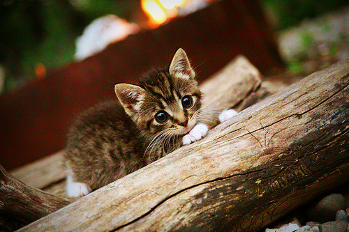 雷火电竞下载-瑞典无锋阵围猎巴西半场，莫德里奇末节奇袭定乾坤