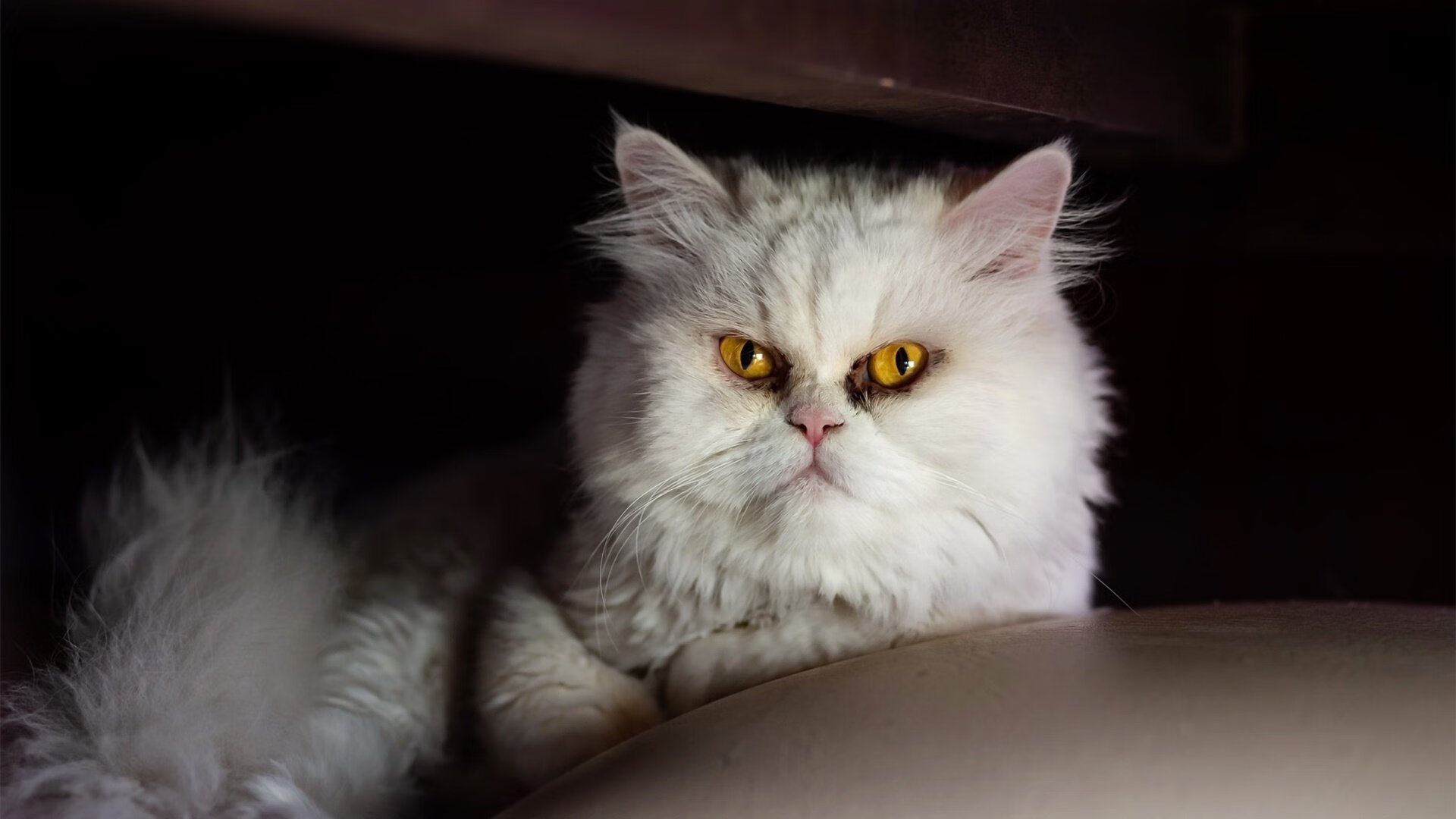 雷火电竞合作-当足球灵魂叩响篮球之门，久保建英在虚拟总决赛的跨界传奇