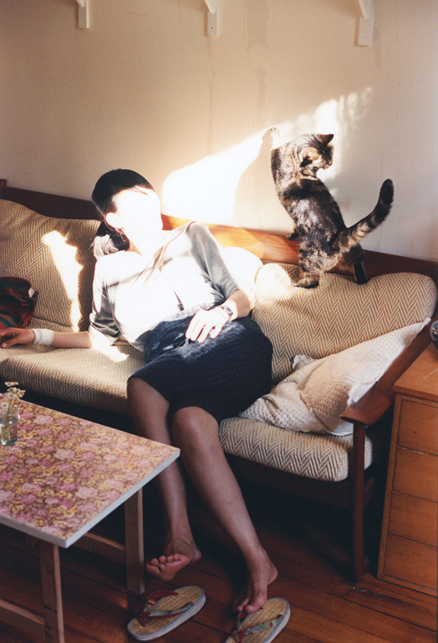 双线交织的体育叙事，紫金军团的战术风暴与黄金时间的个人英雄主义