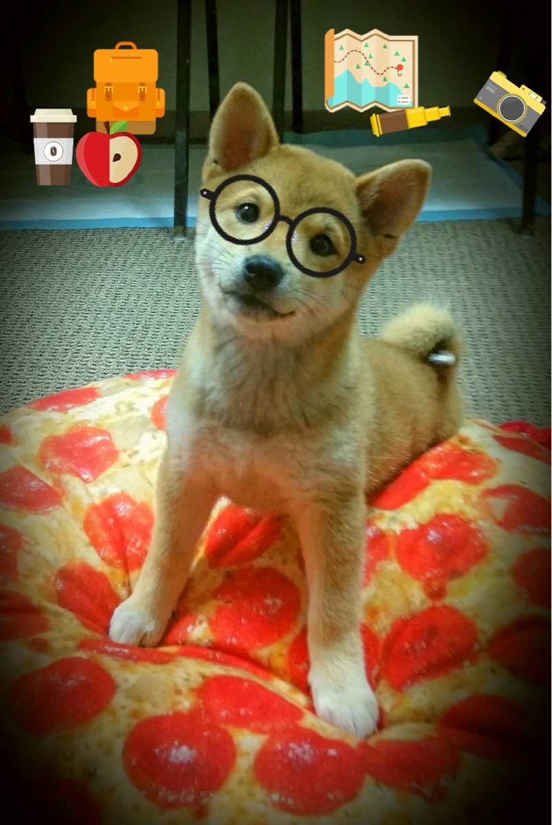 雷火电竞-F1街道赛之夜，德里赫特惊艳四座，那声绝非赛道上的轰鸣