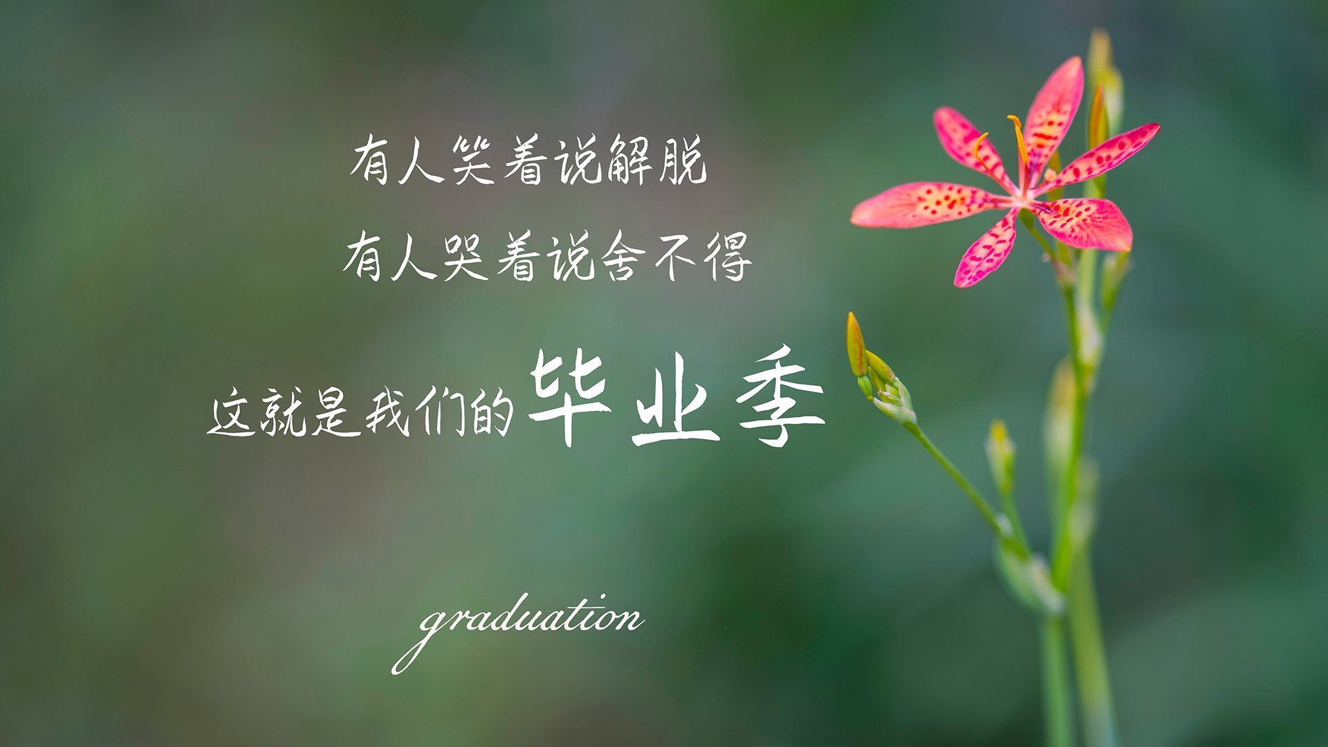 雷火电竞亚洲先驱-双生绝响，萨卡之焰与苏格兰之刃—足球史上唯一的一日