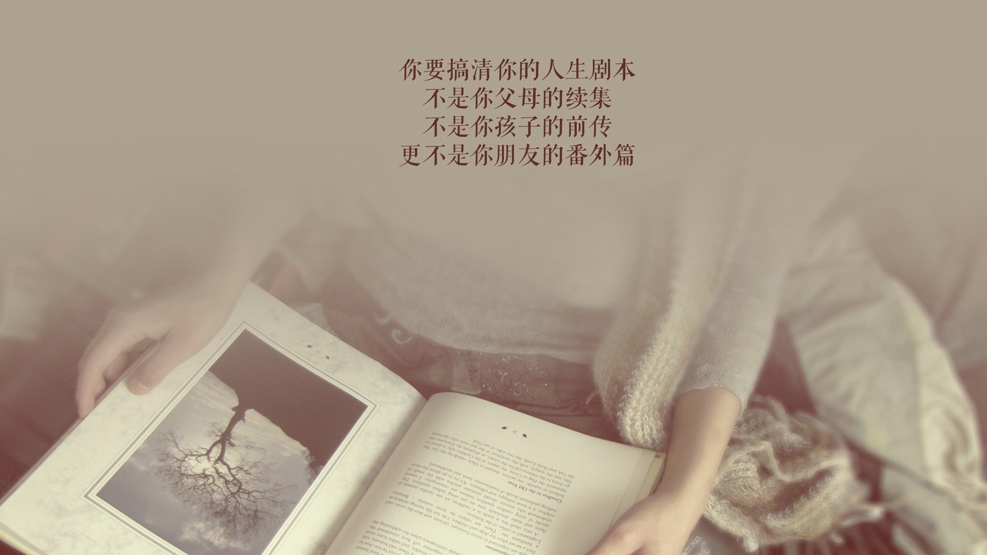 冰与火的对决,2026世界杯D组,美国完胜冰岛,努涅斯致命一击定乾坤