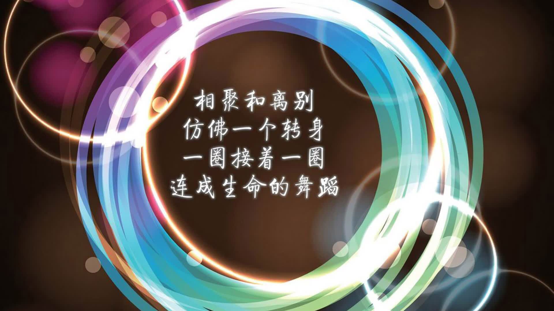 宿命对决中的唯一光芒,2026世界杯D组,佩德里引领美国力克哥斯达黎加